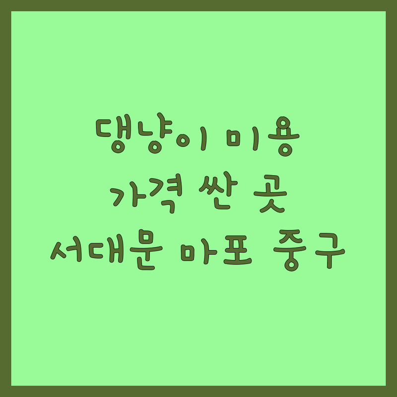 서울 서대문구 마포구 중구 반려동물미용 저렴한 곳 가격싼 곳 업체 추천 | 강아지 고양이 미용 비용 가격 잘하는 곳 | 가위컷 스파 탄산스파 | 방문미용 출장미용 | 노견미용 전문