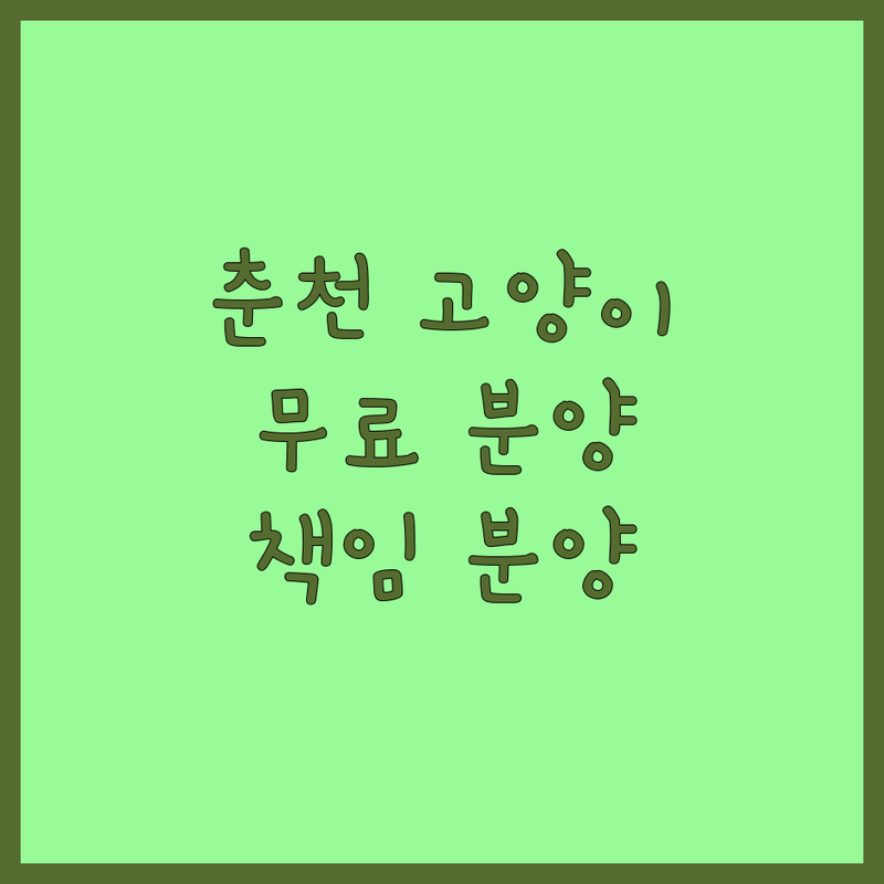 춘천 고양이 무료분양 파양 보호소 저렴한 곳 추천 | 고양이 입양 비용 가격 잘하는 곳 | 유기묘 책임분양 보호센터 | 실종구조 안락사없는 동물쉼터 | 가정견 반려동물 24시