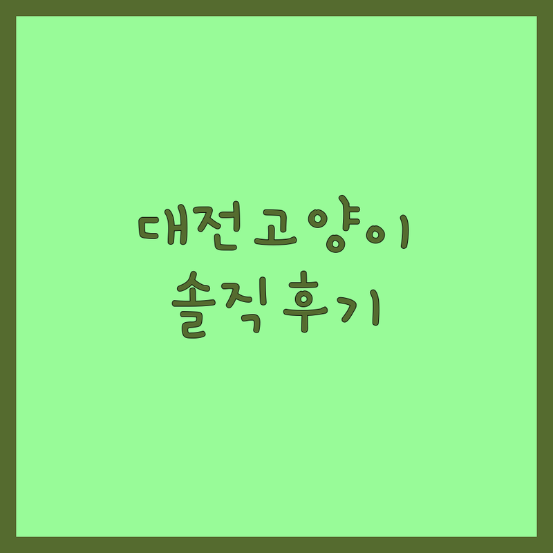 대전 반려묘 용품 미용 병원 저렴한 곳 가격싼 곳 업체 추천 | 고양이 사료 미용 진료 비용 가격 잘하는 곳 | 이동가방 캣타워 미용케어 건강검진 | 반려동물 동반 주차 예약 | 7년차 집사의 솔직 경험담