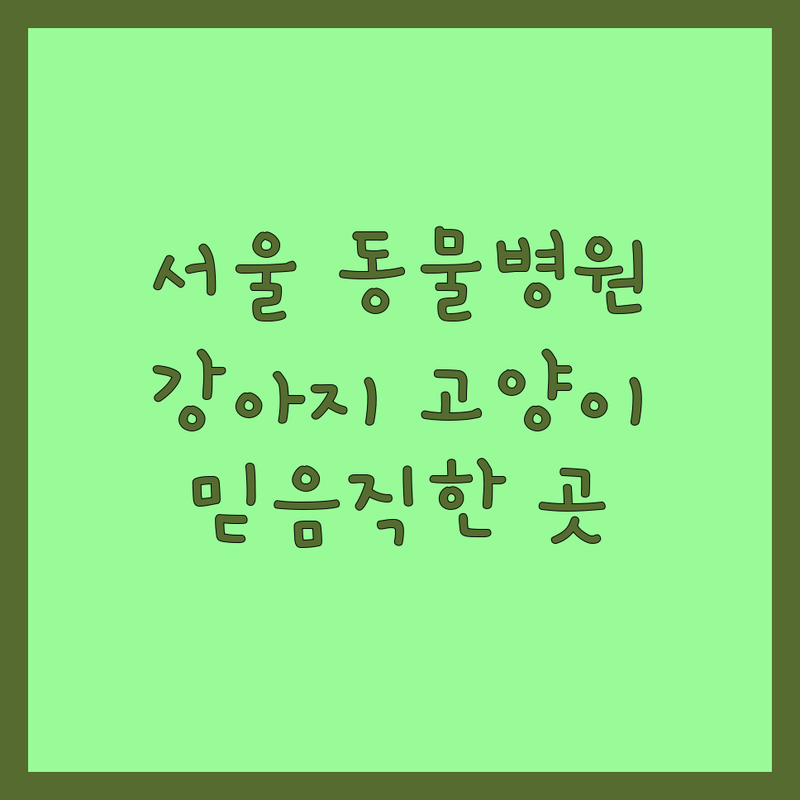 서울 동물병원 추천 | 강아지 고양이 진료 전문 | 슬개골탈구 한방치료 건강검진 | 믿을 수 있는 동물병원 찾기 | 주차 가능 친절한 곳