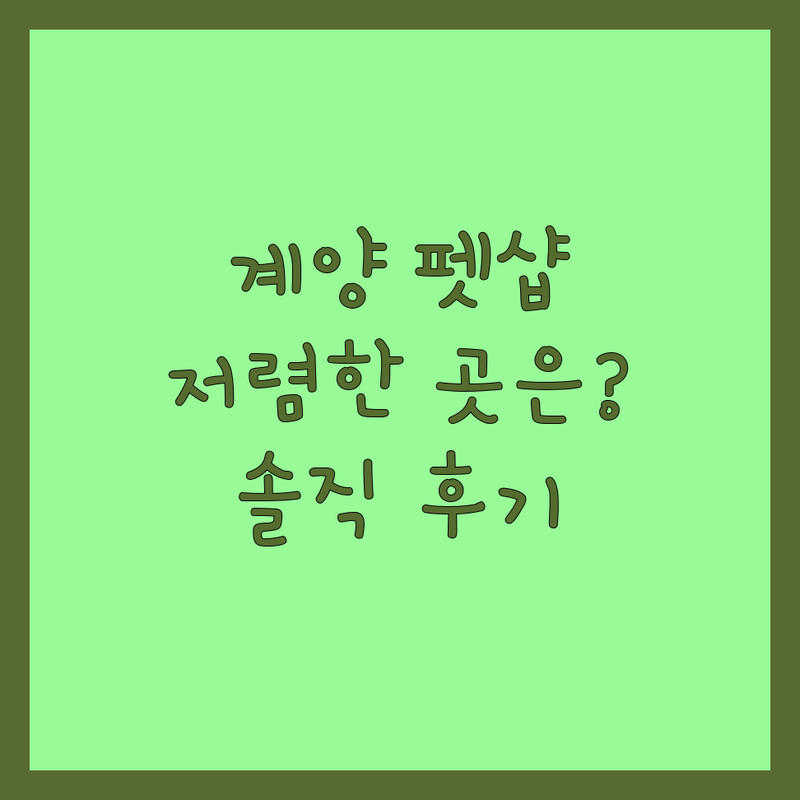 인천 계양구 펫샵 저렴한 곳 가격싼 곳 업체 추천 | 반려동물용품 강아지분양 고양이분양 비용 가격 잘하는 곳 | 말티즈 포메 푸들 무료분양 입양 | 애견샵 영양제 사료 용품 | 초보 반려인 솔직 후기 노하우 꿀팁