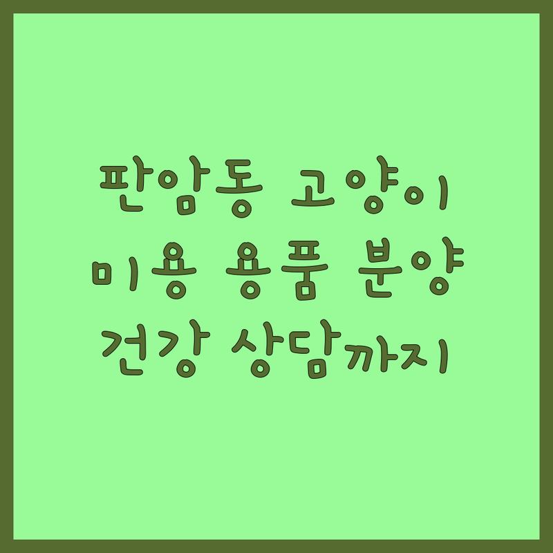 대전 동구 판암동 고양이 잘하는 곳 추천 | 고양이 미용 비용 고양이 입양 가격 고양이 용품 저렴한 곳 | 고양이 미용 고양이 호텔 고양이 분양 고양이 용품 고양이 건강 상담 | 반려동물 동반 예약 가능 주차 가능 친절한 서비스 | 고양이 피부병 고양이 사료 추천 고양이 행동 교정 고양이 건강 관리