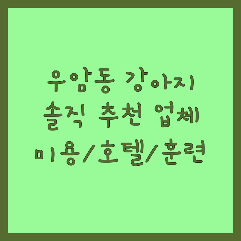 부산 남구 우암동 강아지 관련 업체 솔직 추천 | 애견미용 훈련 호텔 간식 사료 비용 가격 | 가성비 좋은 곳 잘하는 곳 | 돌봄 케어 용품 놀이방 상담 | 주차 후기 예약 가능