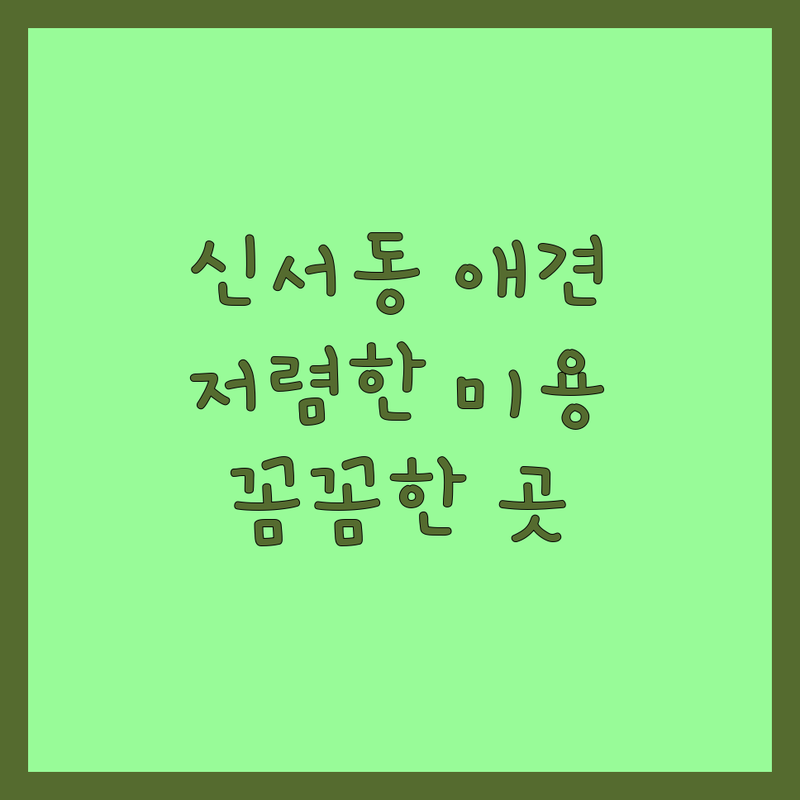 대구 동구 신서동 애완동물 미용 저렴한 곳 가격싼 곳 업체 추천 | 반려동물 미용 비용 가격 잘하는 곳 | 전체미용 부분미용 목욕 스파 가위컷 | 스트레스 없는 미용 친절한 곳 꼼꼼한 곳 | 예약 주차 반려동물 동반 방문 전 체크리스트