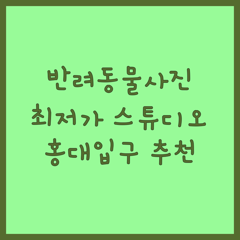 홍대입구역 반려동물사진 저렴한 곳 가격싼 곳 업체 추천 | 강아지 고양이 사진 비용 가격 잘하는 곳 | 증명사진 프로필사진 가족사진 | 반려동물 동반 스튜디오 자연광 촬영 | 당일 인화 주차가능 예약제