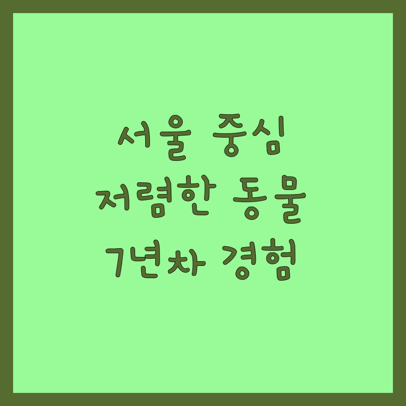 서대문구 종로구 중구 동물병원 저렴한 곳 가격싼 곳 업체 추천 | 반려동물 진료 비용 가격 잘하는 곳 | 내과 외과 정형외과 피부과 산과 치과 | 강아지 고양이 토끼 햄스터 기니픽 전문 진료 | 7년차 반려인의 솔직한 경험담