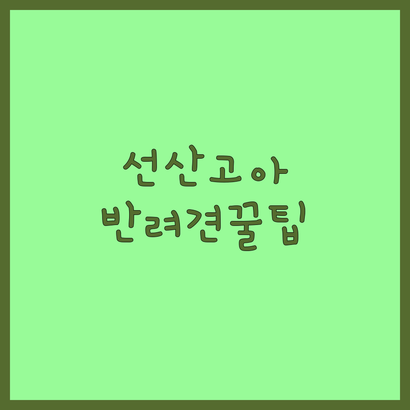 구미시 선산읍 고아읍 반려동물 저렴한 곳 가격싼 곳 업체 추천 | 반려동물용품 미용 호텔 비용 가격 잘하는 곳 | 강아지 사료 미용 호텔 | 친절한 위생적인 맞춤 케어 | 유치원 훈련 간식 솔직한 경험담