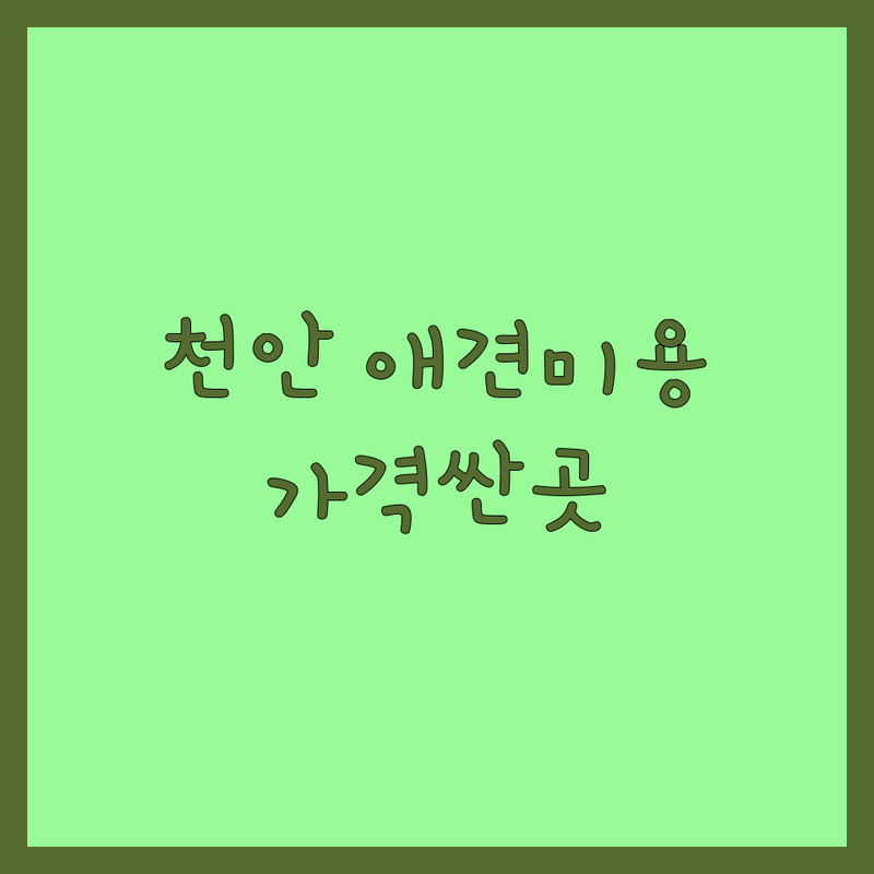 천안 반려동물미용 저렴한 곳 가격싼 곳 업체 추천 | 애견미용 비용 가격 잘하는 곳 | 노령견미용 입질견미용 고양이미용 | 애견호텔 강아지미용 반려견미용 | 위생미용 부분미용 전체미용 스파