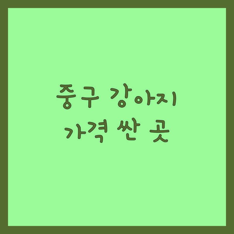 서울 중구 강아지 돌봄 저렴한 곳 가격싼 곳 업체 추천 | 반려동물 용품 비용 가격 잘하는 곳 | 강아지 유치원 호텔 미용 | 애견 카페 입양 보호소 | 산책 훈련 병원