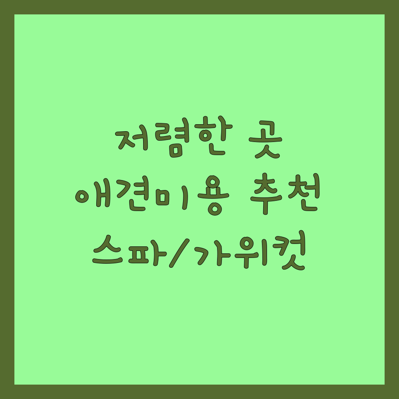 서울 반려동물그루밍 저렴한 곳 업체 추천 | 애견미용 비용 가격 잘하는 곳 | 강아지 고양이 스파 가위컷 | 털관리 피부병 노령견 | 예약 주차 전문가상담